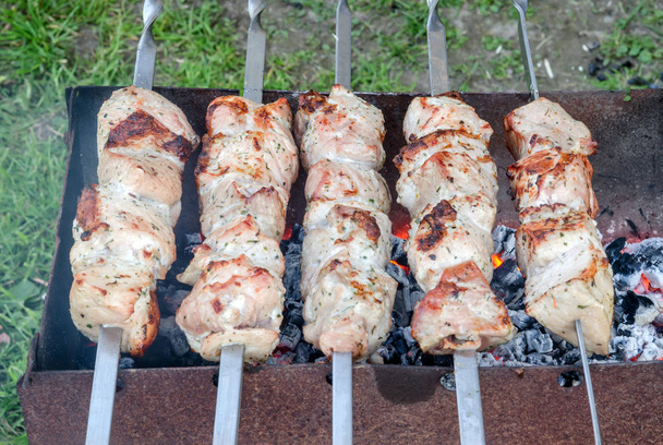 shish kebab em um espeto
 - Foto, Imagem