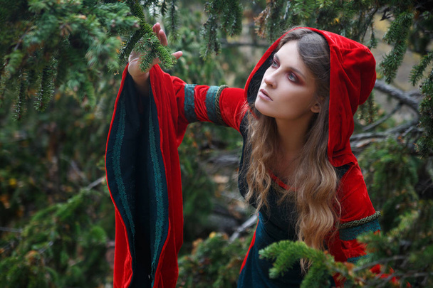 Portrait of young woman in medieval dress at autumnal forest - Foto, afbeelding