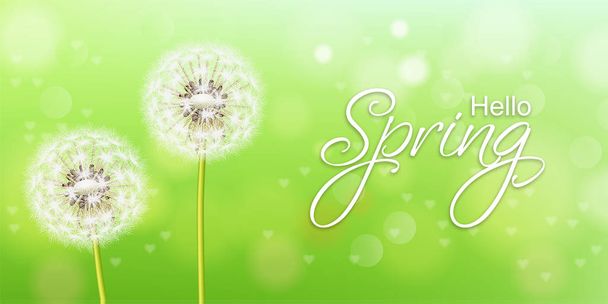 Spring dandelion flower Vector realistic. Green background soft bokeh illustration - Вектор,изображение