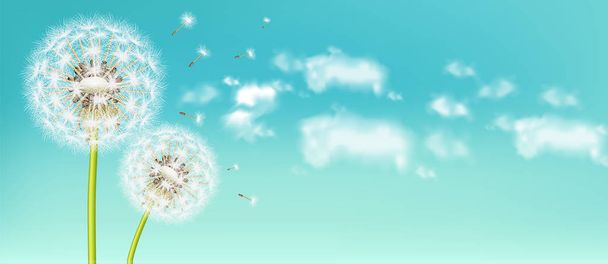 Άνοιξη λουλούδι πικραλίδα διάνυσμα ρεαλιστική. Ουρανό φόντο μαλακό bokeh εικόνες - Διάνυσμα, εικόνα