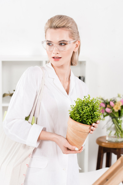 beautiful businesswoman in glasses holding green plant in office, environmental saving concept  - Foto, immagini