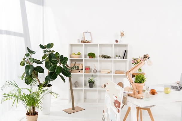 workspace with green plants and desk in modern office  - Photo, Image