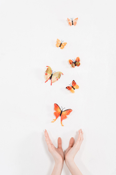 περικοπεί θέα γυναικεία χέρια κοντά σε πορτοκαλί πεταλούδες πετούν σε άσπρο φόντο, περιβαλλοντική εξοικονόμηση έννοια  - Φωτογραφία, εικόνα