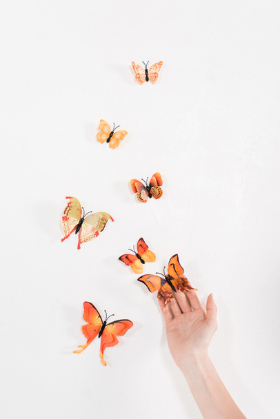vue recadrée de la femme libérant des papillons sur fond blanc, concept de sauvegarde de l'environnement
  - Photo, image