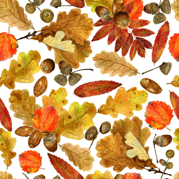 Seamless texture of watercolor fall oak, rowan, aspen leaves and acorns. Bright autumn print with natural elements - Fotoğraf, Görsel