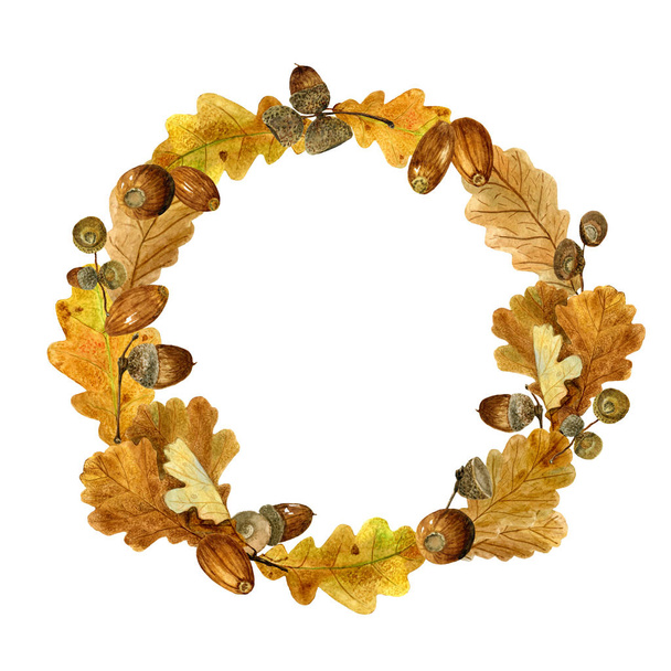 Watercolor wreath of autumn leaves and acorns. Fall composition of bright oak foliage and branches - Valokuva, kuva