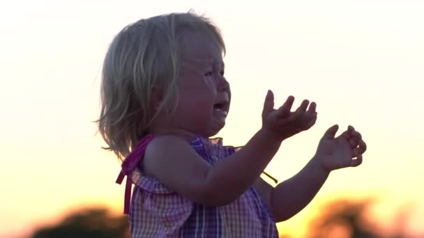 Crying baby. Child at sunset in the meadow. - Footage, Video