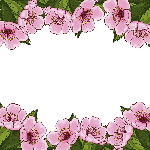 Frame for text with spring flowers of pink cherry, sakura, on a white background. Idea for design postcard, invitation, background, congratulation. Vector illustration EPS 10. - Vetor, Imagem