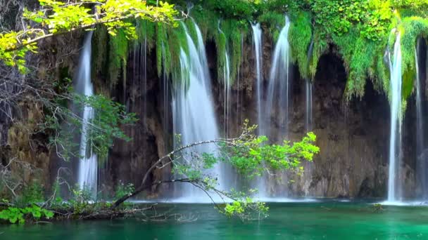 waterfall in forest Plitvice Lakes National Park, Croatia - Footage, Video
