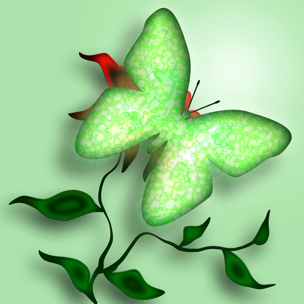 Mariposa verde
 - Foto, Imagen