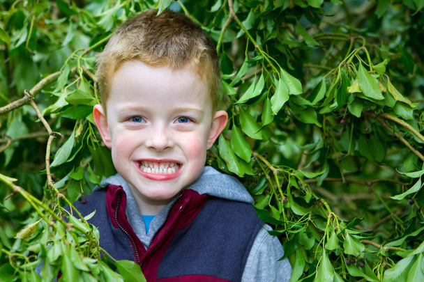 heureux petit garçon souriant à travers les feuilles
 - Photo, image