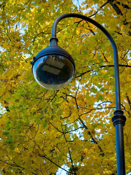Black lamp post in autumn Park - Fotoğraf, Görsel