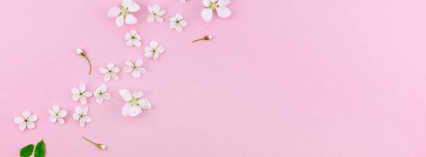 Креативный вид сверху на цветущие цветы вишни обрамляет узор на тысячелетнем розовом фоне с минимальным пространством для копирования в минимальном стиле, искушает к лепке, тексту или вашему дизайну
 - Фото, изображение