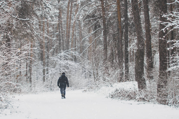 the figure of a man in a snowy forest in winter. - Photo, Image