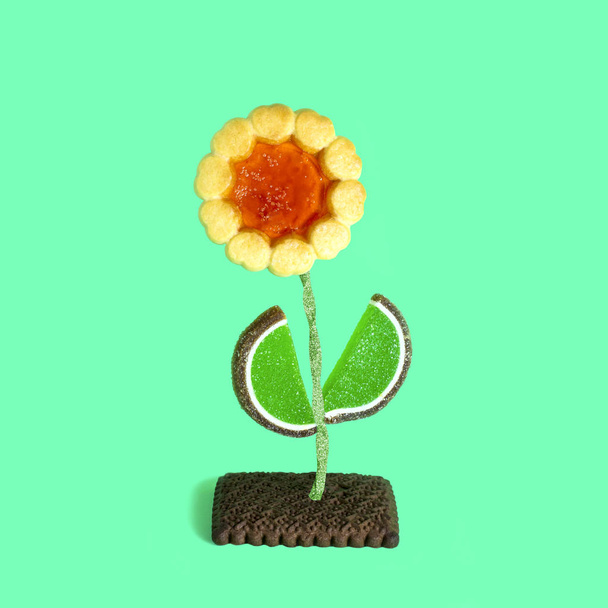 Λουλούδι από διαφορετικούς τύπους cookies και καραμέλες. Δημιουργική διακόσμηση γλυκά. Μίνιμαλ στυλ. Δημιουργική ιδέα, φαντασία και φαντασία. Αρχική ιδέα των τροφίμων - Φωτογραφία, εικόνα