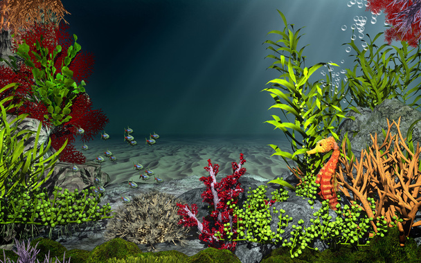 podwodne krajobrazy z ryby i konik morski - Zdjęcie, obraz