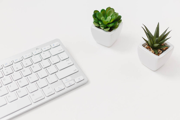 Computer keyboard and succulent flower isolated on white textured background. Top view with copy space. Flat lay. - Foto, Bild