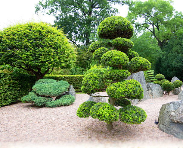 Jardín de estilo japonés con arbustos típicos
 - Foto, imagen