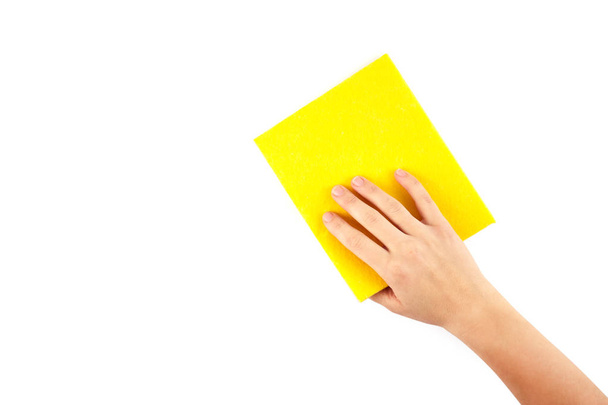 hand holding a sponge isolated on white background. Cleaning - Photo, Image