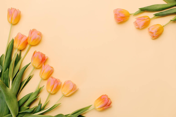 Beautiful flowers on color paper background. Yellow tulips and paper - Photo, Image