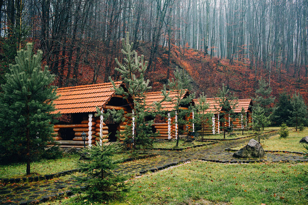 森の中の空き地の木造住宅 - 写真・画像