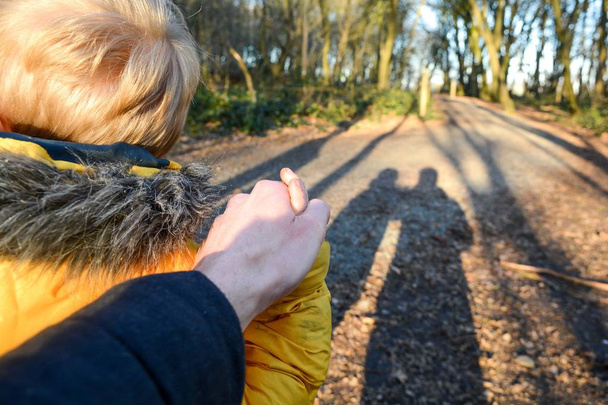 Ojciec i syn trzymanie rąk podczas chodzenia w lesie - Zdjęcie, obraz
