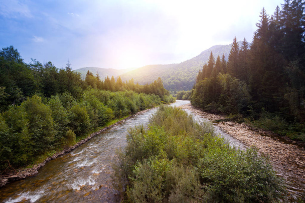 beautiful mountain river in the Carpathians, ukrain - Photo, image