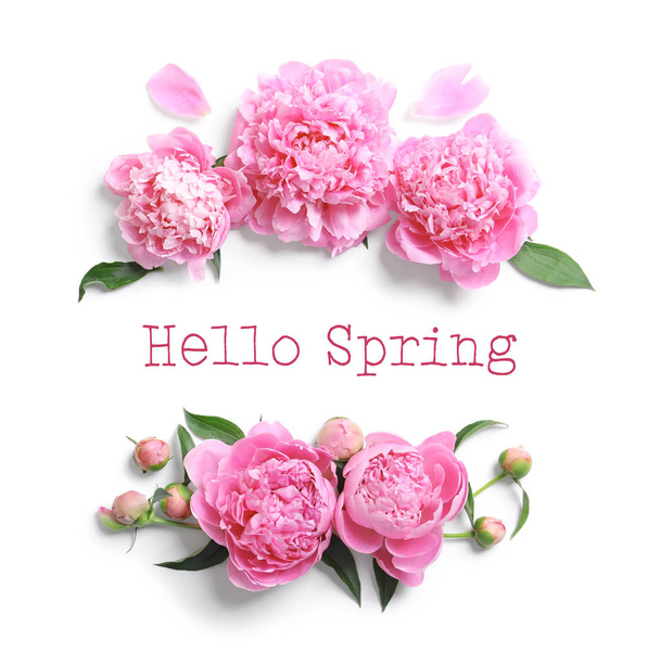 Flat lay composition of beautiful peony flowers and text Hello Spring on white background - Photo, Image