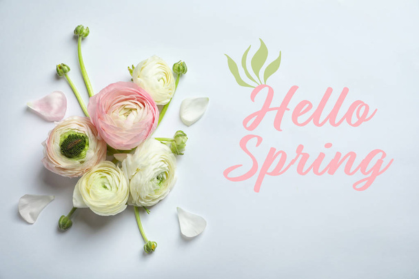 Beautiful ranunculus flowers and text Hello Spring on light background, top view  - Fotó, kép
