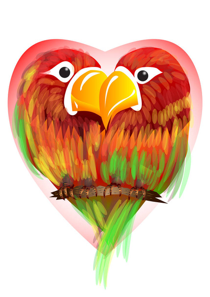 enamored parrots. two parrots on background of the heart - Vector, Image