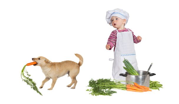 Cute pequeno chef bebê e cão ladrão
 - Foto, Imagem