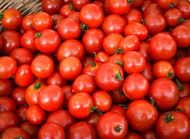 Tomate cereja fresco fundo / Pilha de tomate vermelho maduro vinhas textura na cesta colheita de horta orgânica jardim
  - Foto, Imagem