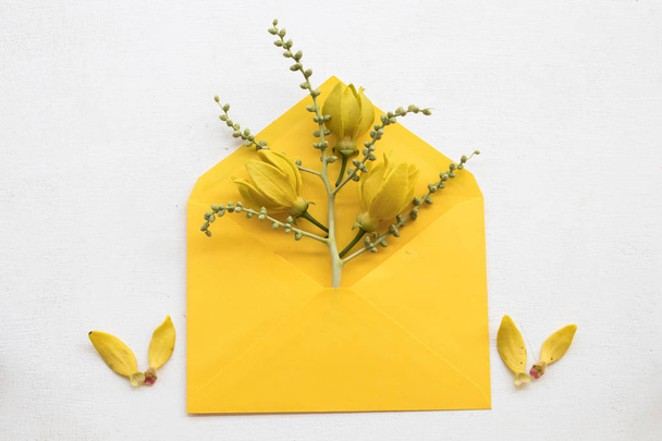 yellow flowers ylang ylang local flora of asia decoration flat lay style on background white  - Fotoğraf, Görsel