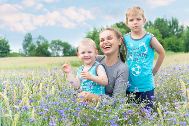 Family walk in the cornflower field. - Фото, изображение