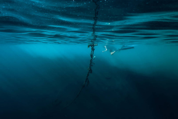 Ελεύθερος δύτης άνθρωπος βουτιά στον ωκεανό, υποβρύχια - Φωτογραφία, εικόνα