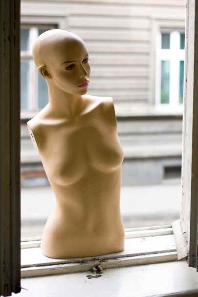 vrouwelijke dummy - Foto, afbeelding
