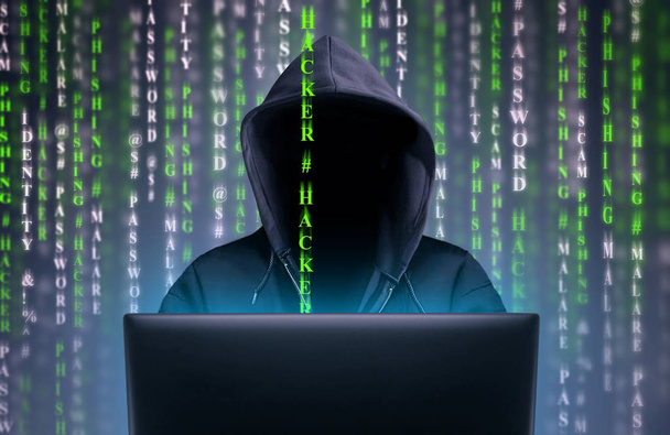 Un pirate informatique vole des données sur Internet - Photo, image
