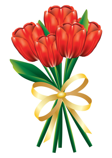 Bouquet di tulipano con fiocco
 - Vettoriali, immagini