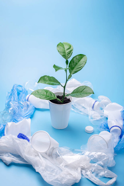 The green plant grows among plastic garbage. Bottles and bags on blue background. Concept of environmental protection and waste sorting - Foto, imagen