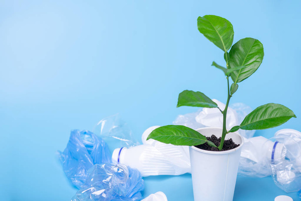 Vihreä kasvi kasvaa muovijätteen seassa. Tekstipaikka. Ympäristönsuojelun ja jätteiden lajittelun käsite
 - Valokuva, kuva