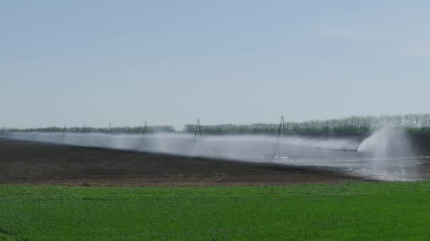 Irrigazione automatica del campo agricolo, a primavera
 - Filmati, video