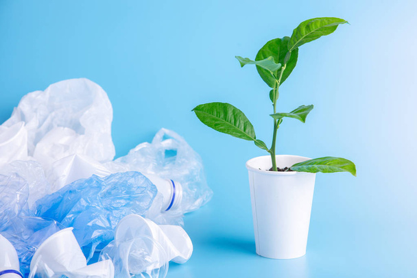 The green plant grows among plastic garbage. Bottles and bags on blue background. Concept of environmental protection and waste sorting - Zdjęcie, obraz
