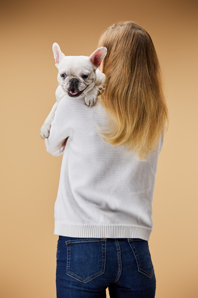 woman in white sweater and blue jeans holding on shoulder french bulldog on beige background - Foto, afbeelding