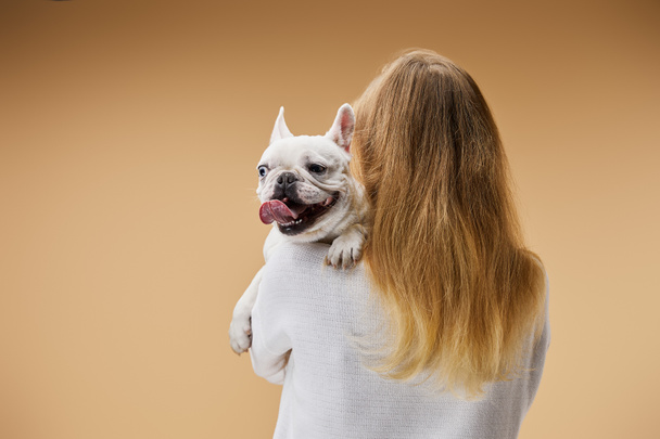 woman in white sweater holding on shoulder french bulldog with dark nose on beige background - Photo, Image
