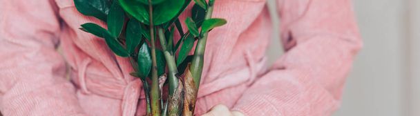 Vista frontale, al centro di una giovane donna, vestita con abiti rosa, in piedi, in possesso di vaso di fiori con pianta da casa, e guardando la fotocamera. Sullo sfondo parete begie. banner
 - Foto, immagini