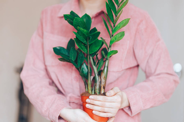 Front view, at center of a young woman, dressed in pink clothes, standing, holding flower pot with house plant, and looking at camera. In background begie wall. - 写真・画像