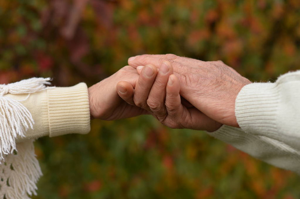 Couple holding  hands together on background of park  - Photo, Image