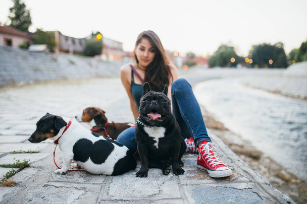 Cane escursionista con cani godendo all'aperto accanto al fiume della città
.  - Foto, immagini