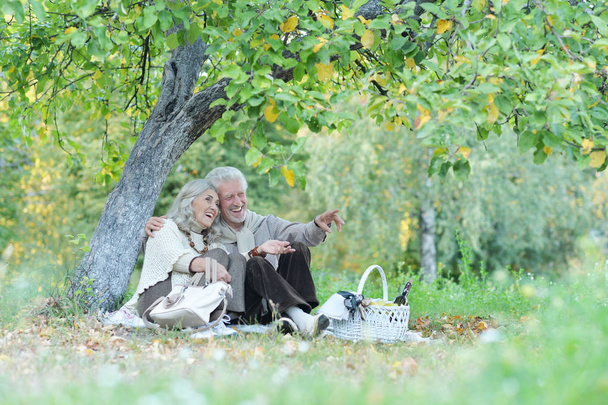 Loving elderly couple having a picnic in park  - 写真・画像
