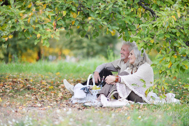 Loving elderly couple having a picnic in park  - Foto, Imagem